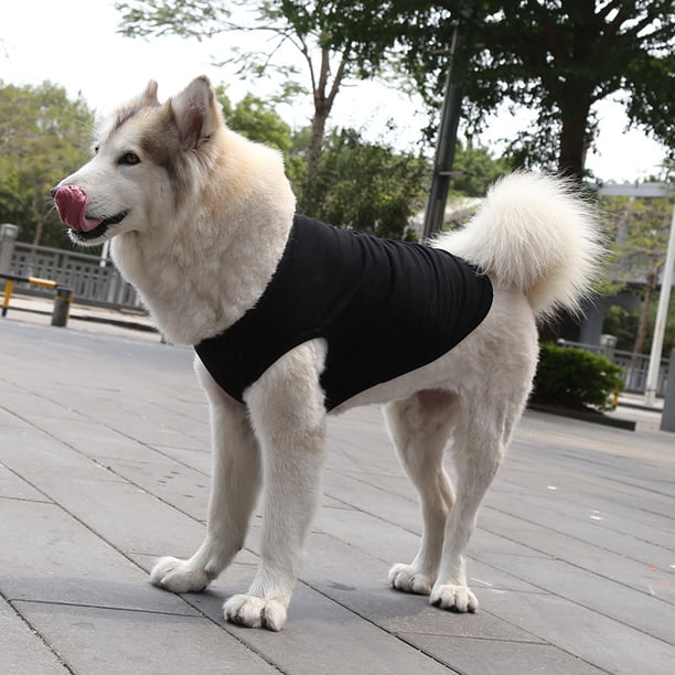 Xiao Hua Chaleco transpirable para perros y gatos, sudadera para cachorros, ropa para perros, abrigos para perros pequeños, medianos y gatos, XS, A30