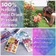 thumbnail image 2 of 144PCS Natural Dried Pressed Flowers for Resin,Dry Flower Bulk Natural Herbs Kit for Candle,Epoxy R, 2 of 5