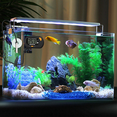 thumbnail image 3 of -50℃ - 70℃ Digital Aquarium Fish Tank Thermometer with Suction Cup Temperature Sensor M Plastic 0441, 3 of 6