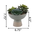 thumbnail image 2 of Artificial Succulent Mix in Two Tone Gray/Beige Ceramic Bowl Planter, 2 of 2