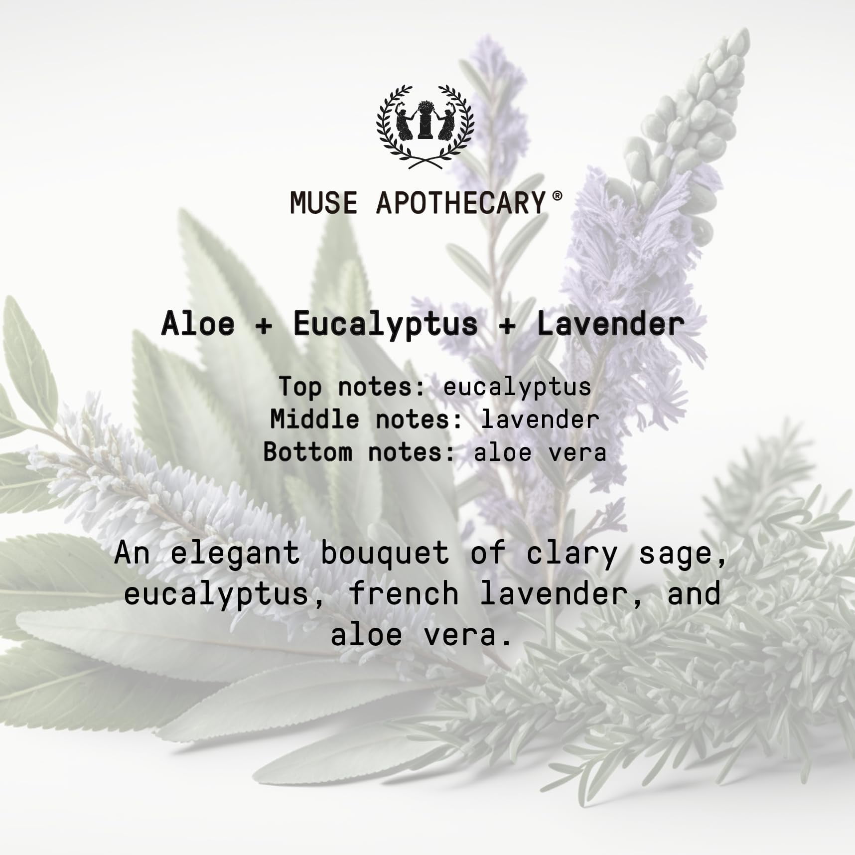 Muse Apothecary Flush Ritual - Aromatic & Refreshing Toilet Spray, Use Before You Go, 8 oz, Infused with Natural Essential Oils - Aloe + Eucalyptus + Lavender, Pack of 3