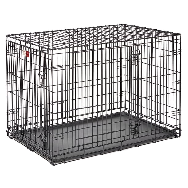 MidWest Homes for Pets 42-inch LifeStages Crate for Large Breeds