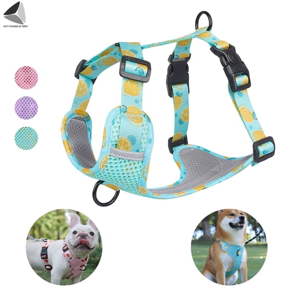PULLIMORE No Pull Dog Harnesses Reflective Pet Harness Adjustable Breathable Mesh Dog Vest for Puppy Dogs Outdoor Walking (Lake Blue,S)