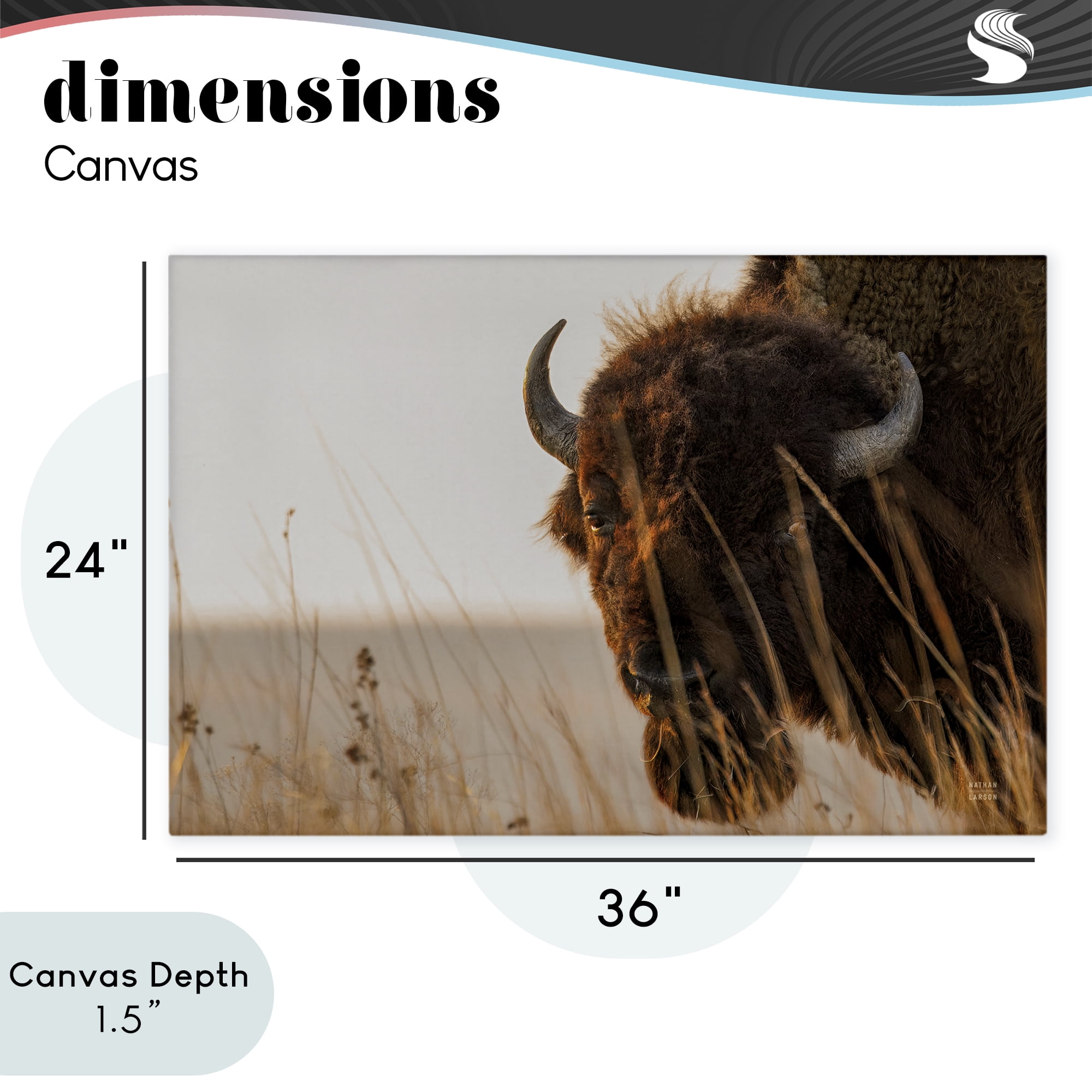 Stupell Industries Bison Sunset on Golden Prairie Canvas Wall Art, design by Nathan Larson