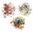 thumbnail image 2 of MasteelfCA 120pcs Flower Series Scrapbooking Decorative Plant Stickers Vintage Flower Scrapbooking Stickers, 2 of 7