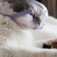 thumbnail image 3 of Cubreboca para gato para peine, con funda ajustable, transpirable y anti mordeduras MFZFUKR CPB-US-XAH50-1, 3 of 5