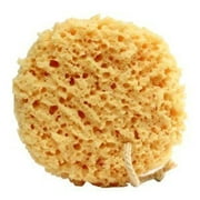 Foam Bath Sponge - 2 COUNT