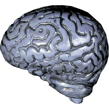 Morris Costumes Brain Human Body Parts Grey Small Decorations & Props, Style DU1022
