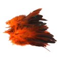 thumbnail image 3 of Cateissary 50 Uds plumas de cola de pollo ropa artesanía DIY plumas de cola fabricación de ropa Accesorios Tela de costura y artesanía Cateissary HA000022-00B, 3 of 6