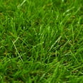 thumbnail image 2 of vidaXL Artificial Grass Light green, dark green and brown 4.9'x32.8'/1.6", 2 of 6