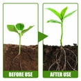 Plant Rooting, Germination, Rooting Powder for Cutting Plant Transplantation Trees, Fruit Trees