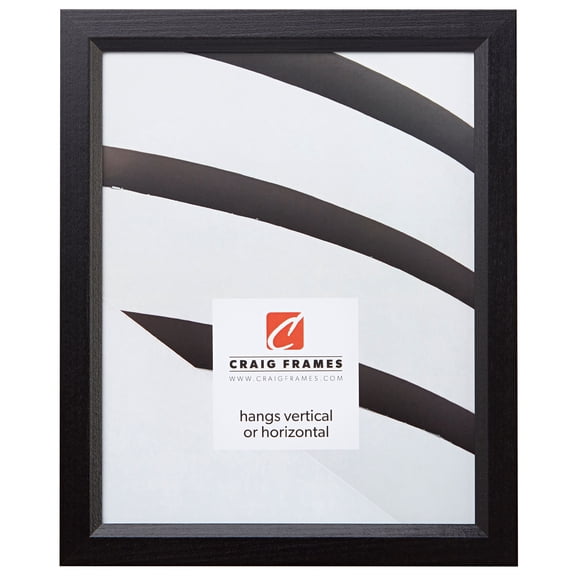 Craig Frames Economy, 12x18 inch Picture Frame, Ebony Black Hardwood