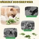 thumbnail image 4 of Juguete para Perros Jatmira Dog Toy 0014 con Chirriador y Malla Resistente, 4 of 4