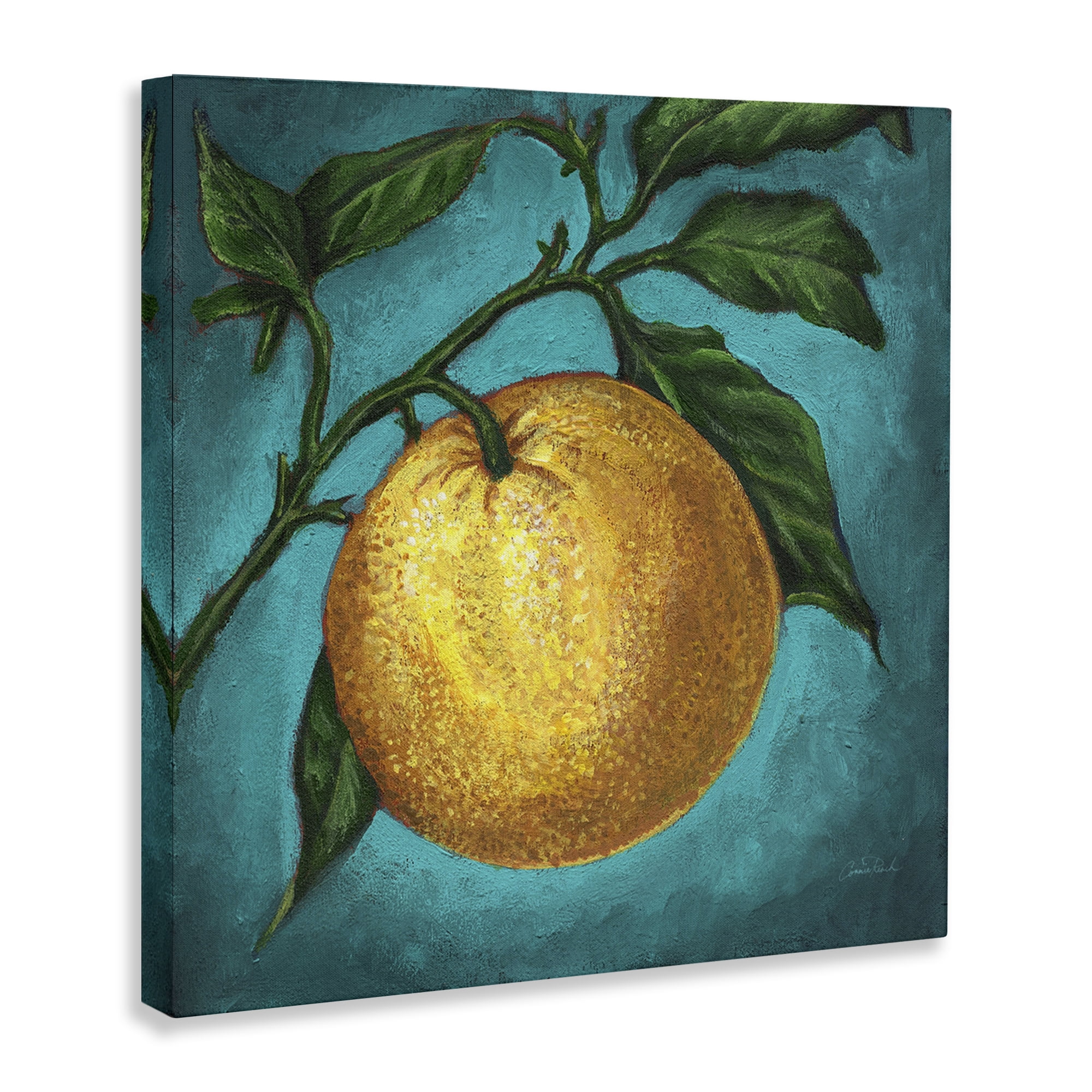 Stupell Industries Citrus Fruit on Branch Food & Beverage Painting Wrapped Canvas Art Print Wall Art, 24 x 24