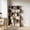 Sunset cloud color, variant on Modern 6-Tier Geometric Standing Bookshelf - Black Metal Bookcase & Room Divider - Anti-Tip Device - Mid-Century Slim Display Shelf for Living Room Storage - Black Small Embossed