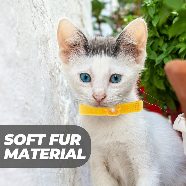 Newborn Pet Identification Puppy Collar Kitten Collars Circle Wool Walmart