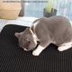 thumbnail image 5 of Alfombrilla impermeable para arena de gatos antideslizante 30 x 45 x 0,7 cm Yashi, 5 of 5