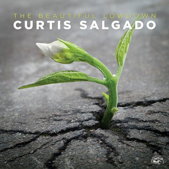 Curtis Salgado - The Beautiful Lowdown - Music & Performance - CD
