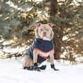 thumbnail image 4 of GF Pet  Winter Sailor Parka, 4 of 5