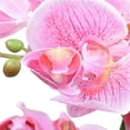 thumbnail image 4 of orquídea artificial rosa 50 x 12 cm, 4 of 4