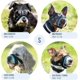 thumbnail image 3 of Protector de bozal suave para perros: evita mordeduras y, 3 of 5