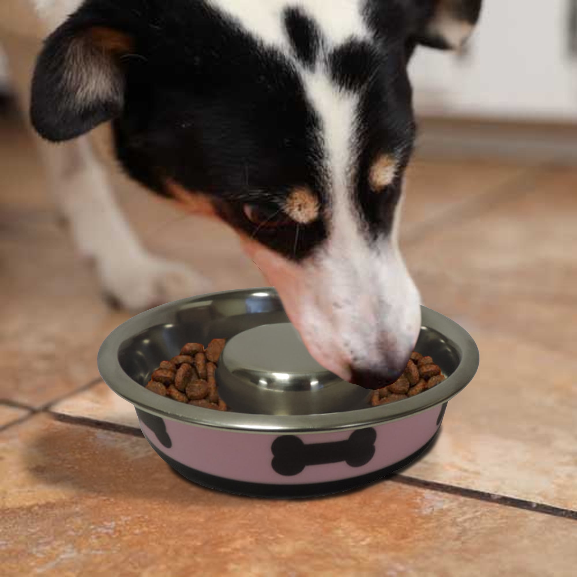 Pefilos 13.5 oz Slow Feeder Spill Proof Pet Bowl with Rubber Base and Bone Design, 6.3"x1.65" Dog Bowls for Small Dogs, Pink Pefilos 13.5 oz Slow Feeder Spill Proof Pet Bowl with Rubber Base and Bone Design, 6.3"x1.65" Dog Bowls for Small Dogs, Pink