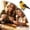 D, variant on Handmade Creative Art Craft Kit DIY 3D Bird Beading Kit Cute Beaded Embroidery Figures with Instructions Handmade Beadwork Craft Set for Adults Beginners Craft Enthusiasts Gift