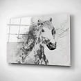 thumbnail image 2 of Epic Art 'White Stallion 1' by Irena Orlov, Acrylic Glass Wall Art, 24"x16", 2 of 3
