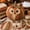 #01N Owl, variant on DIY Animal Pumpkin Sewing Kit Fox Owl Cat Bear, Fall Farmhouse Fabric Craft with Pre-Cut Pieces for Halloween Thanksgiving Decor