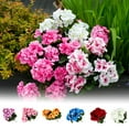thumbnail image 2 of Artificial Geraniums Silk Flowers Heads Table Centerpiece Garden Wedding Prof, 2 of 8