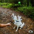 thumbnail image 3 of Hound2O Dog Toys | Squeaky Fetch Ball, Green | Durable & Floating Outdoor Toy for Dogs, 3 of 6