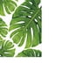 thumbnail image 3 of Lienzo de arte moderno sin marco, pintura al óleo, impresión de hojas de plantas verdes, decoración de pared - PICK Monstera Deliciosa L, 3 of 8