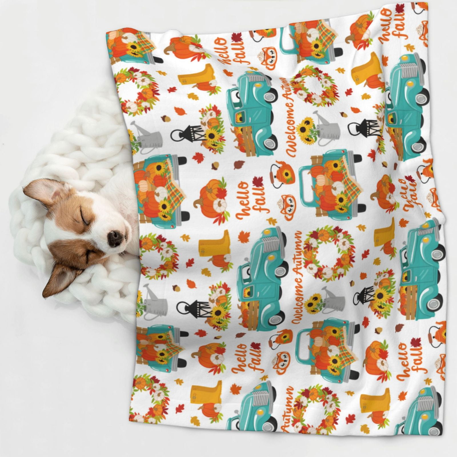 Naloa Fall Pumpkins And Sunflowers Dog Blanket, 3 Sizes Cat Blanket for Indoor Cats Large Medium Small Dog Gifts-Small