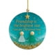thumbnail image 1 of Adornos Navideños de Vidrio Marino de La Amistad | Adornos Navideños Duraderos | Regalos Navideños Únicos Hechos a Mano | Regalos Simbólicos de La Amistad | Decoración Navideña Versátil para El Hogar, 1 of 6