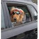 thumbnail image 5 of Gorra de béisbol de moda para mascotas, sombrero para perro, sombrero para el sol para regalo de tamaño pequeño a mediano., 5 of 5