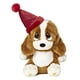 thumbnail image 1 of Peluche de cumpleaños con gorro de Aurora World Sad Sam Lil Pup, 7.5 " Aurora 15384, 1 of 2
