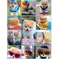 thumbnail image 4 of Buffalo Games - Dog Days - Boo Collage - 750 Piece Jigsaw Puzzle, 4 of 5