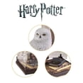 thumbnail image 4 of Figure The Noble Collection Harry Potter Magical Creatures, 4 of 5