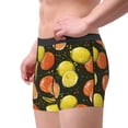 thumbnail image 3 of Bingfone Orange Lemon Men's Underwear - Casual Stretch Boxer Briefs-Large, 3 of 7