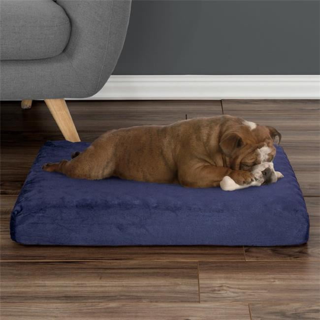 walmart canada dog bed