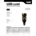 thumbnail image 4 of Feit Electric Fairy Clear LED Bulb, 4 of 4