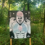 Triumph Systems Threat Down Yeti Reactive Splatter Range Target, 12 Count