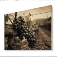 thumbnail image 2 of Designart "Captivating Vintage Charm at the Winery" Farmhouse Print on Natural Pine Wood, 2 of 5