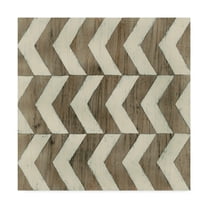 Trademark Fine Art 'Driftwood Geometry III' Canvas Art by June Erica Vess