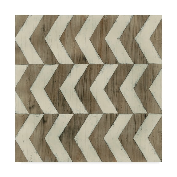 Trademark Fine Art 'Driftwood Geometry III' Canvas Art by June Erica Vess