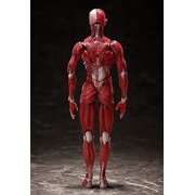 figma Human Model Non-scale ABS & PVC Pre-painted Movable Figure F51042