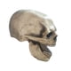 thumbnail image 4 of Máscara de Halloween de calavera de cara completa con mandíbula móvil de látex, máscara de Halloween para la cabeza Color oscuro, 4 of 9
