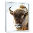 thumbnail image 3 of Designart 'Close UP Of Wild Bison' Farmhouse Framed Canvas Wall Art Print, 3 of 5