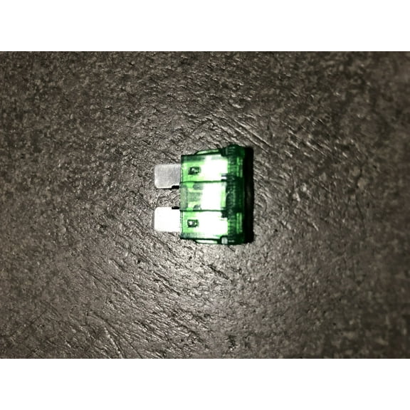 30 AMP BLADE FUSE (BULK)