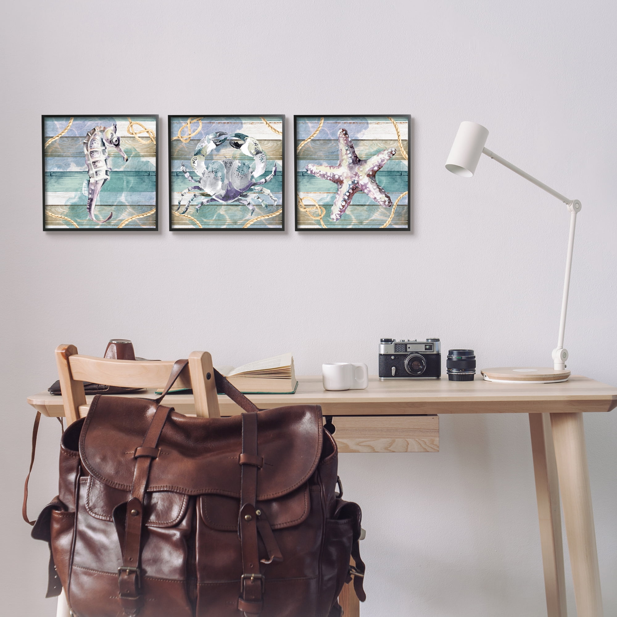 Stupell Industries Sea Life Plank Pattern Animals & Insects Painting Black Framed Art Print Wall Art, 12 x 12, Set of 3